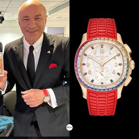 patek philippe mr wonderful|Kevin O'Leary's Watches .